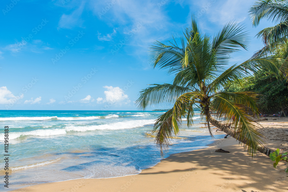 Obraz premium Playa Chiquita - Dzika plaża w pobliżu Puerto Viejo, Kostaryka