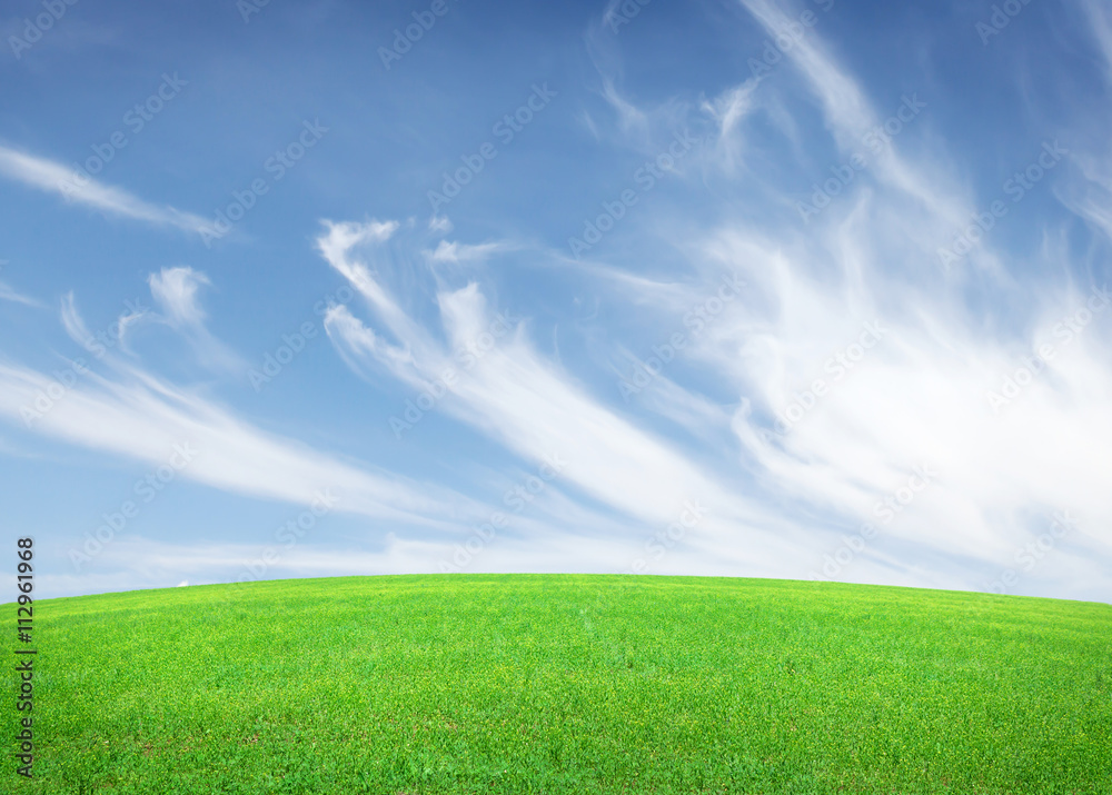 Green grass field and blue sky