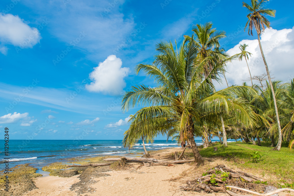 Fototapeta premium Playa Cocles - beautiful tropical beach close to Puerto Viejo - Costa Rica