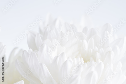 White flower closeup © prasong.