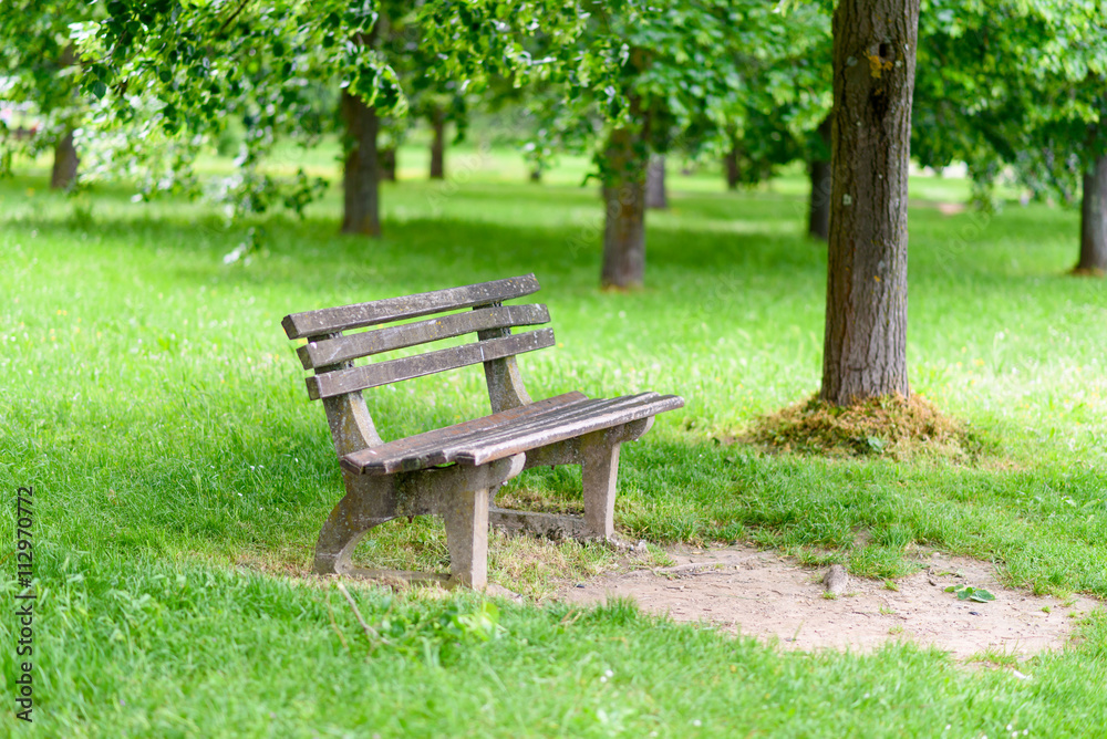 Wooden Bench