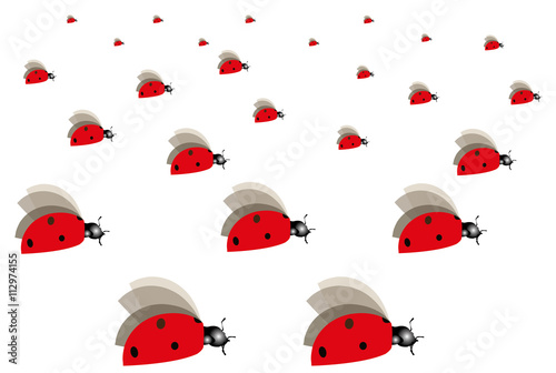 illustration of a ladybug