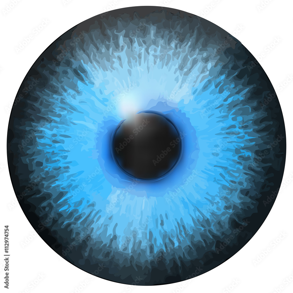 Eye iris vector texture Eye iris vector texture