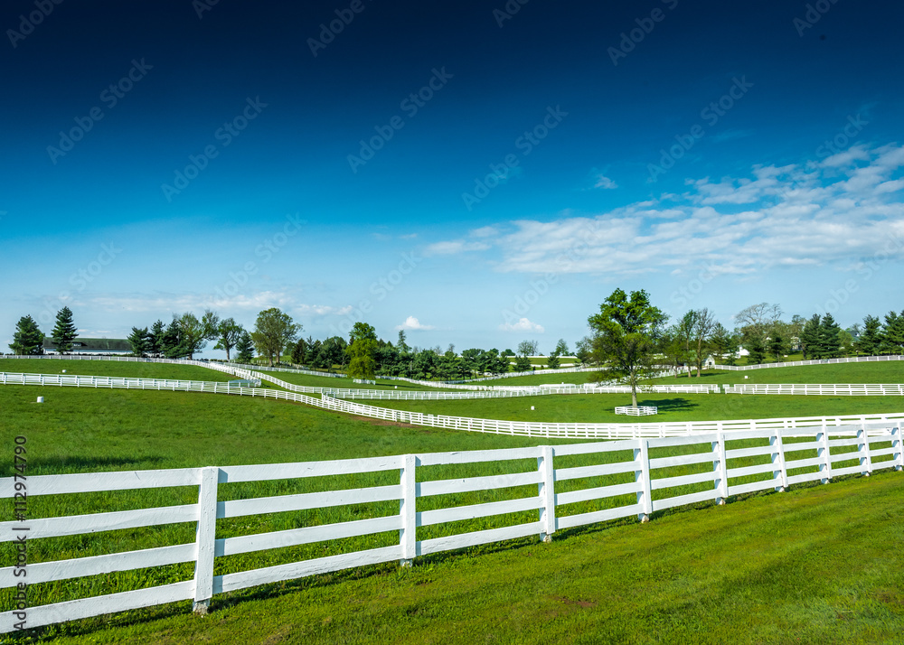 Overlooking the Pastures