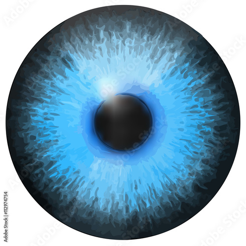 Eye iris vector texture