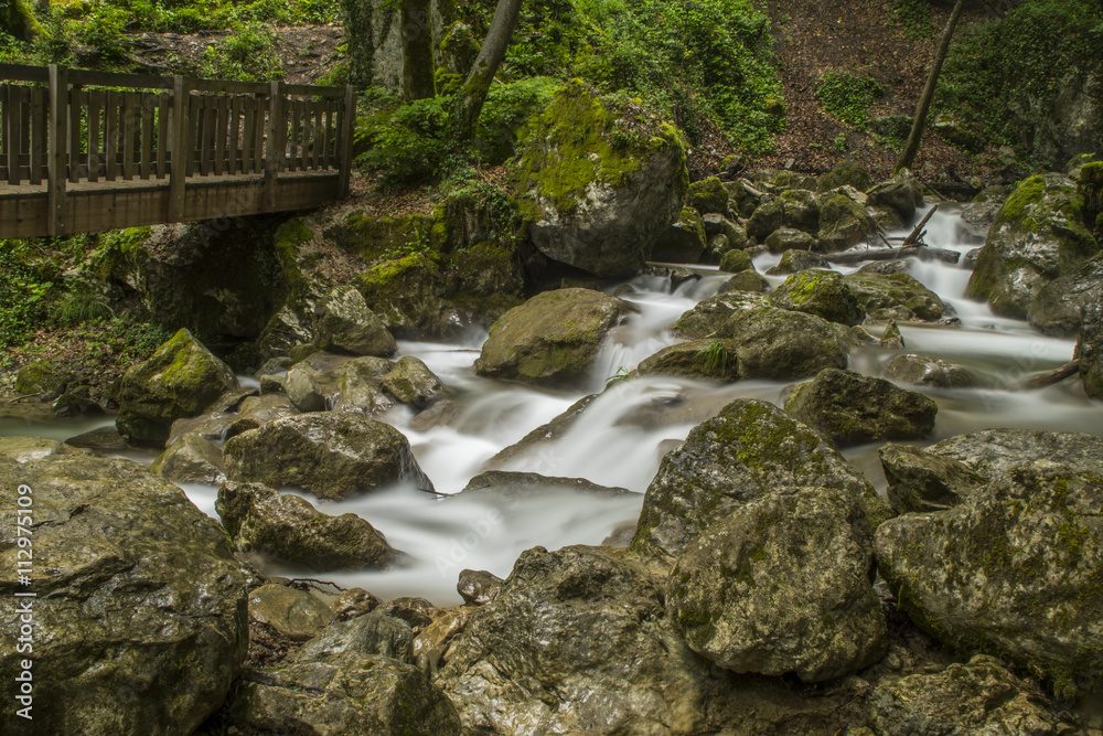 Fototapeta premium L'Alloix - Chartreuse - Isère.