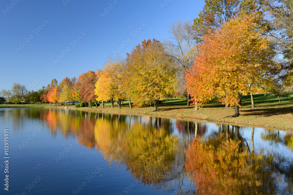 Colorful Fall Trees with Reflections in Lake
