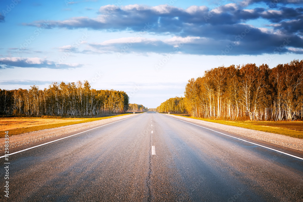 Fototapeta premium country highway