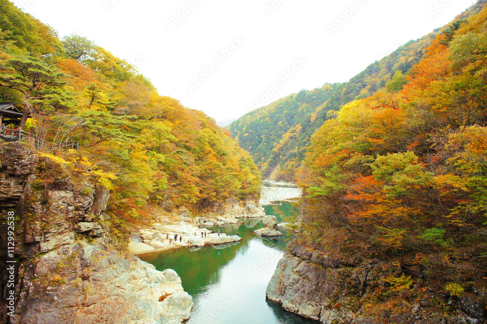 秋の龍王峡 秋の龍王峡