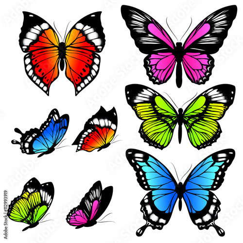 butterflies design