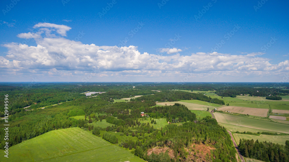 Naklejka premium Cornfield Klaukkala, Finland