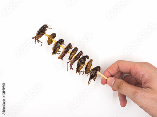 Fried insects. Protein rich food. photo