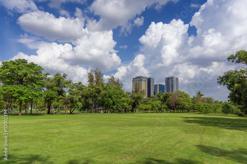 Green lawn in park