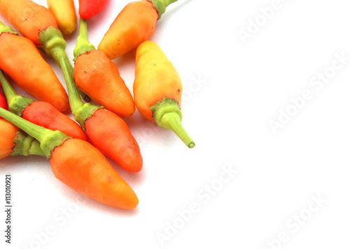 Red Chilli Dry isolated on white background