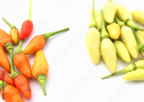 Red Chilli Dry isolated on white background