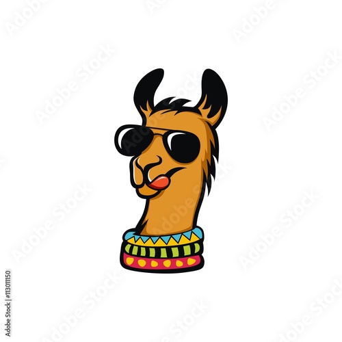 Funky llama vector
