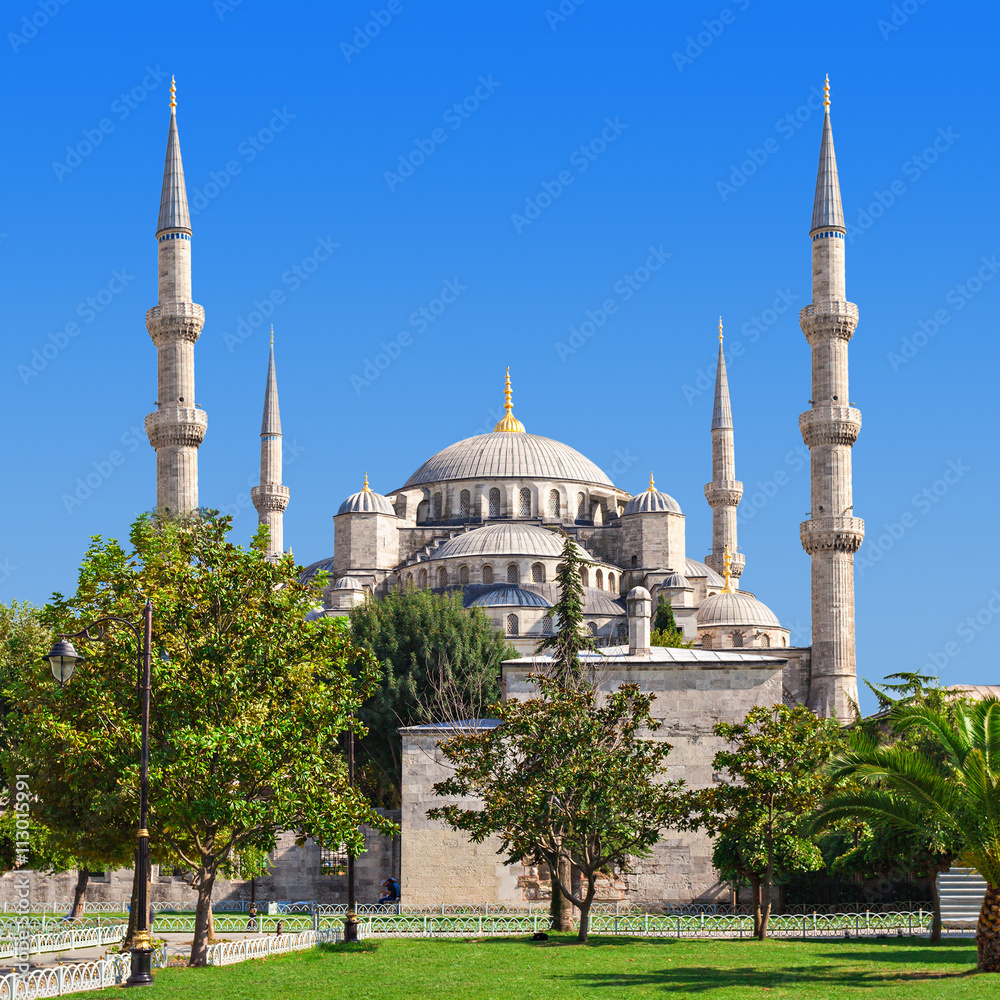 Naklejka premium The Blue Mosque