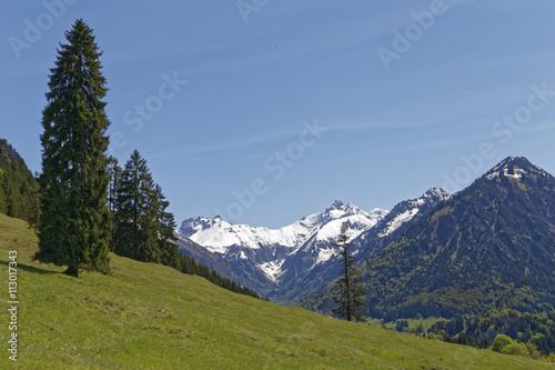 Fototapeta Naklejka Na Ścianę i Meble -  austrian alp: Kleinwalsertal