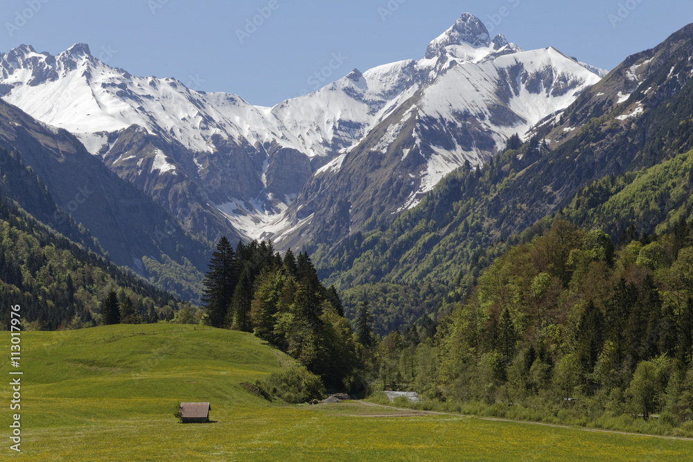 meadow with snow covered austrian alps: Kleinwalsertal