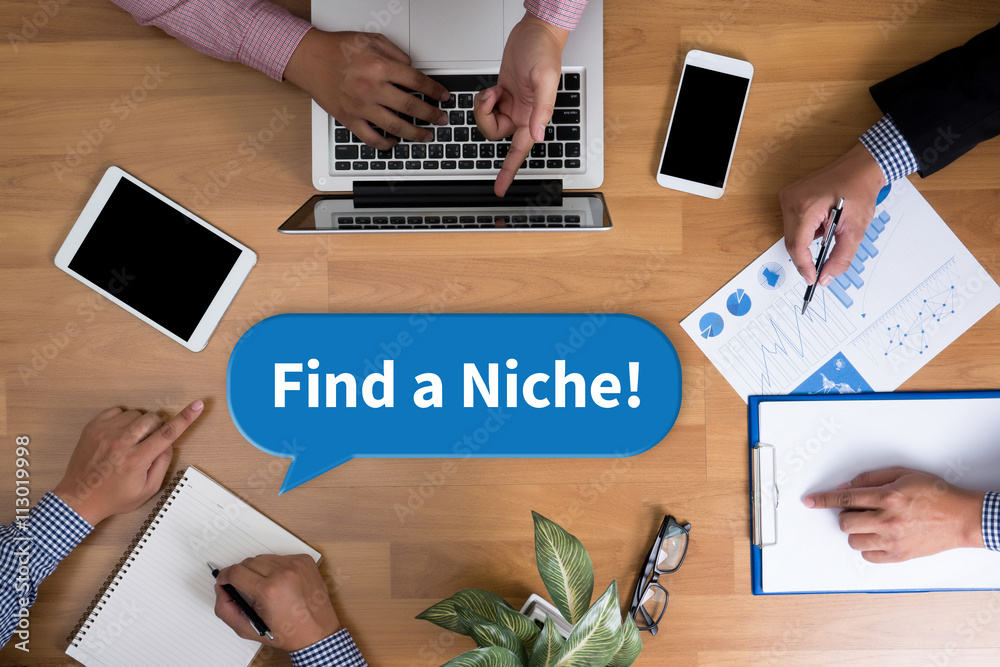 Find a Niche! Find a Niche!