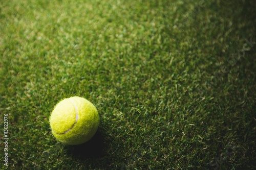 Close up of tennis ball © WavebreakMediaMicro
