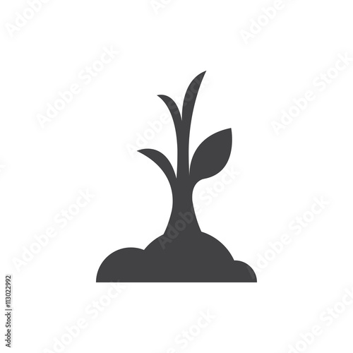 Canvas-taulu sapling icon