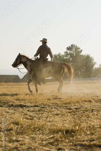 A cowboy riding a horse