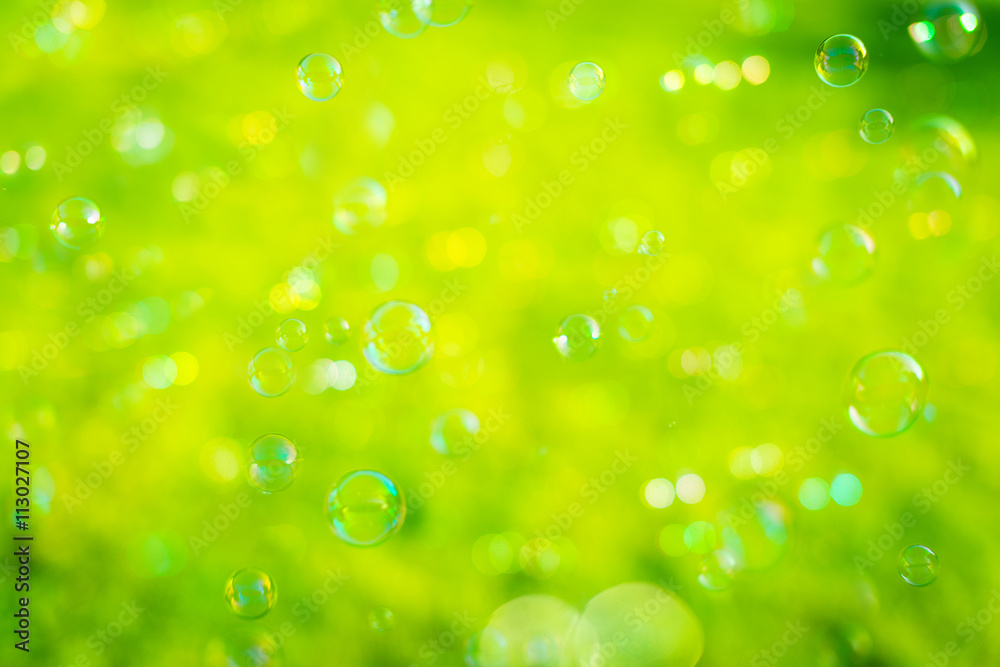 Soap bubbles with green background