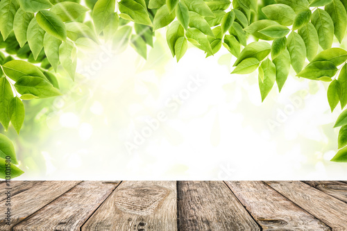 Green leaves with empty wooden table top background. Fresh branch with green leaves background. Nature background for display or mock up your product.