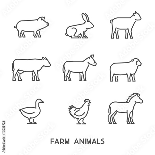 Vector line farm animals with open path