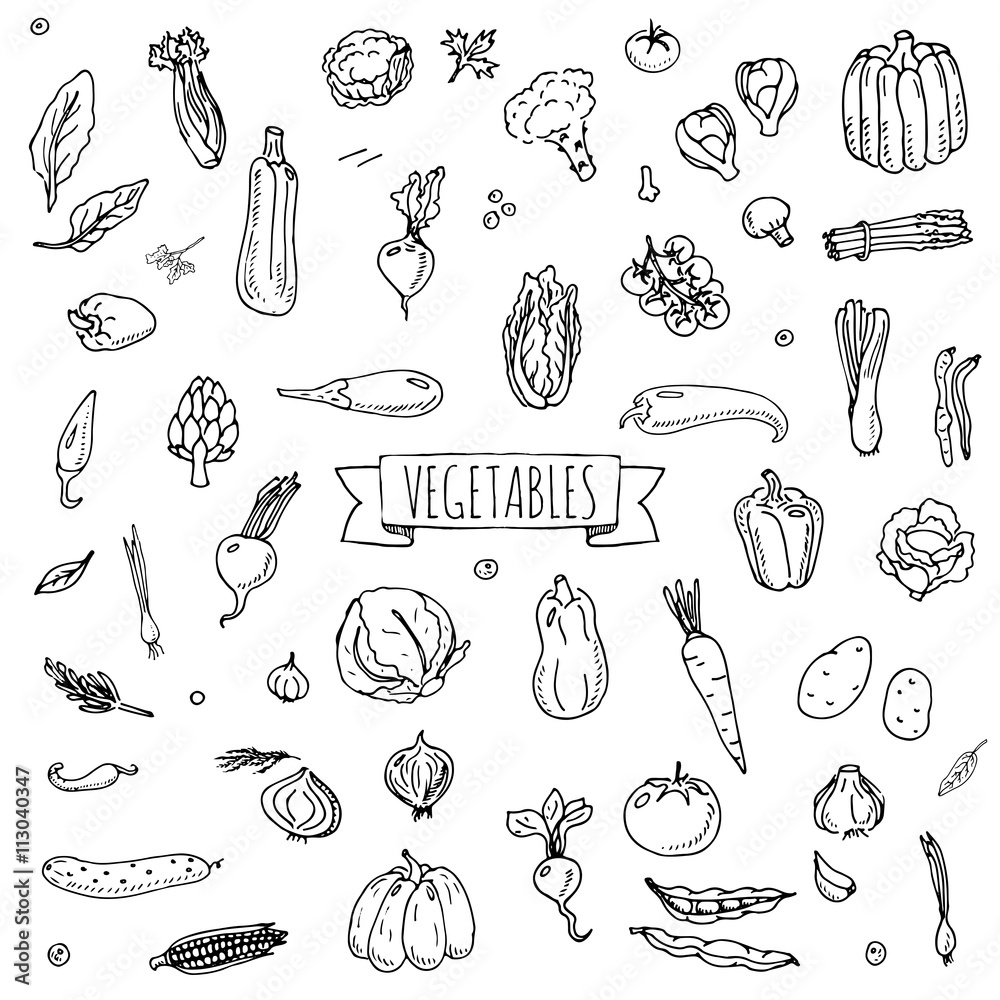 Hand drawn doodle vegetables icons set Vector illustration seasonal vegetable symbols collection Cartoon different kinds of vegetables Various types of vegetables on white background Sketchy style