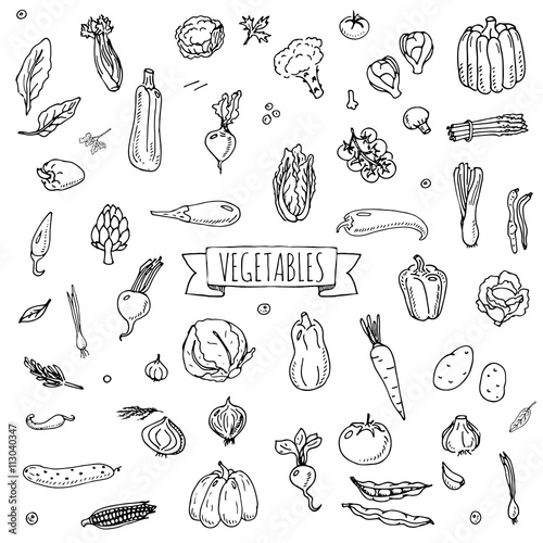 Hand drawn doodle vegetables icons set Vector illustration seasonal vegetable symbols collection Cartoon different kinds of vegetables Various types of vegetables on white background Sketchy style