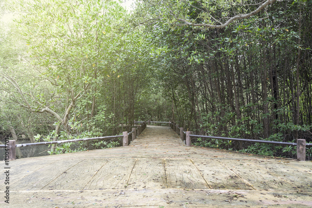 Obraz premium Bridge with Mangrove forest in phuket Thailand.