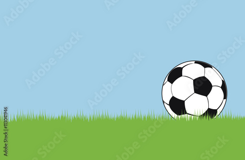Soccer ball on green grass. Vector illustration.