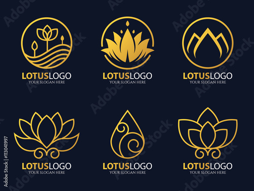 Gold line lotus logo vector art set design