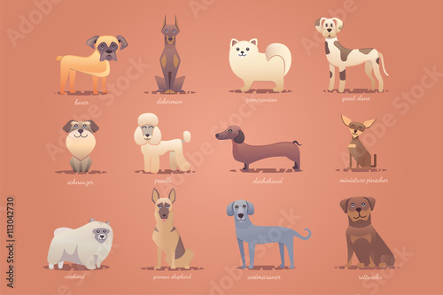 Set of german dogs , cute cartoon illustration vector format