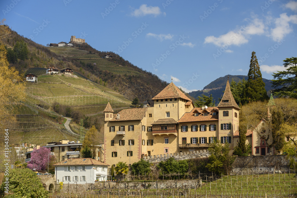 Obraz premium Weinberge Wein Schloss Meran - castle wine Europe 