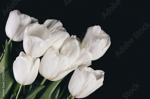 Fototapeta Naklejka Na Ścianę i Meble -  tinted image bouquet of a white tulips on a dark background. hor