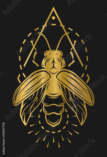 Golden firefly and geometric elements.