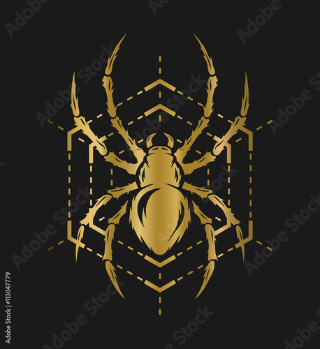 Golden spider and web.
