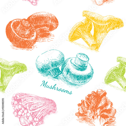 Illustrative sorts of mushrooms in seamless background