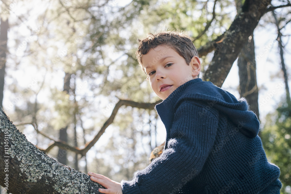Low angle portrait of boy sitting on tree trunk in forest Low angle portrait of boy sitting on tree trunk in forest