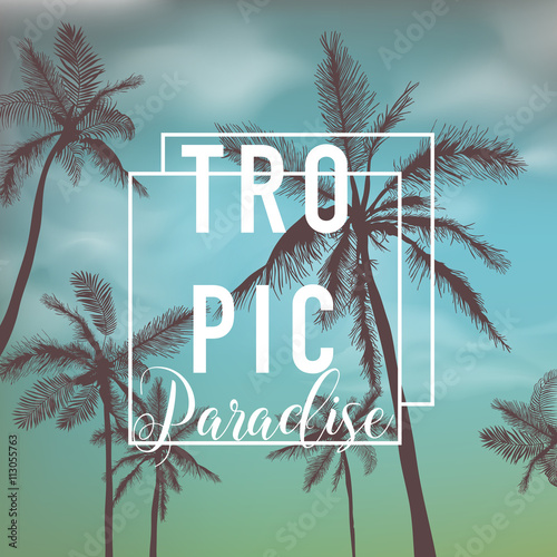 Tropical Background. Palm Leaves. Palms Background. Vector Background © wooster