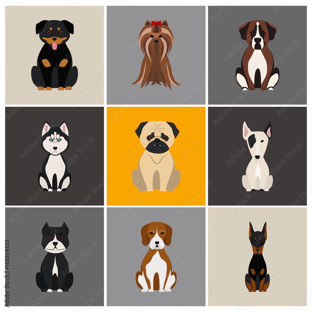 Dogs color flat set icon Dogs color flat set icon