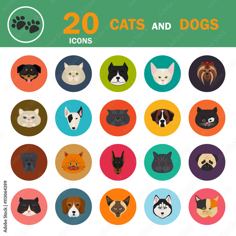 Cats and dogs color flat icon