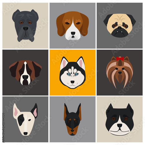 Dogs color flat set icon