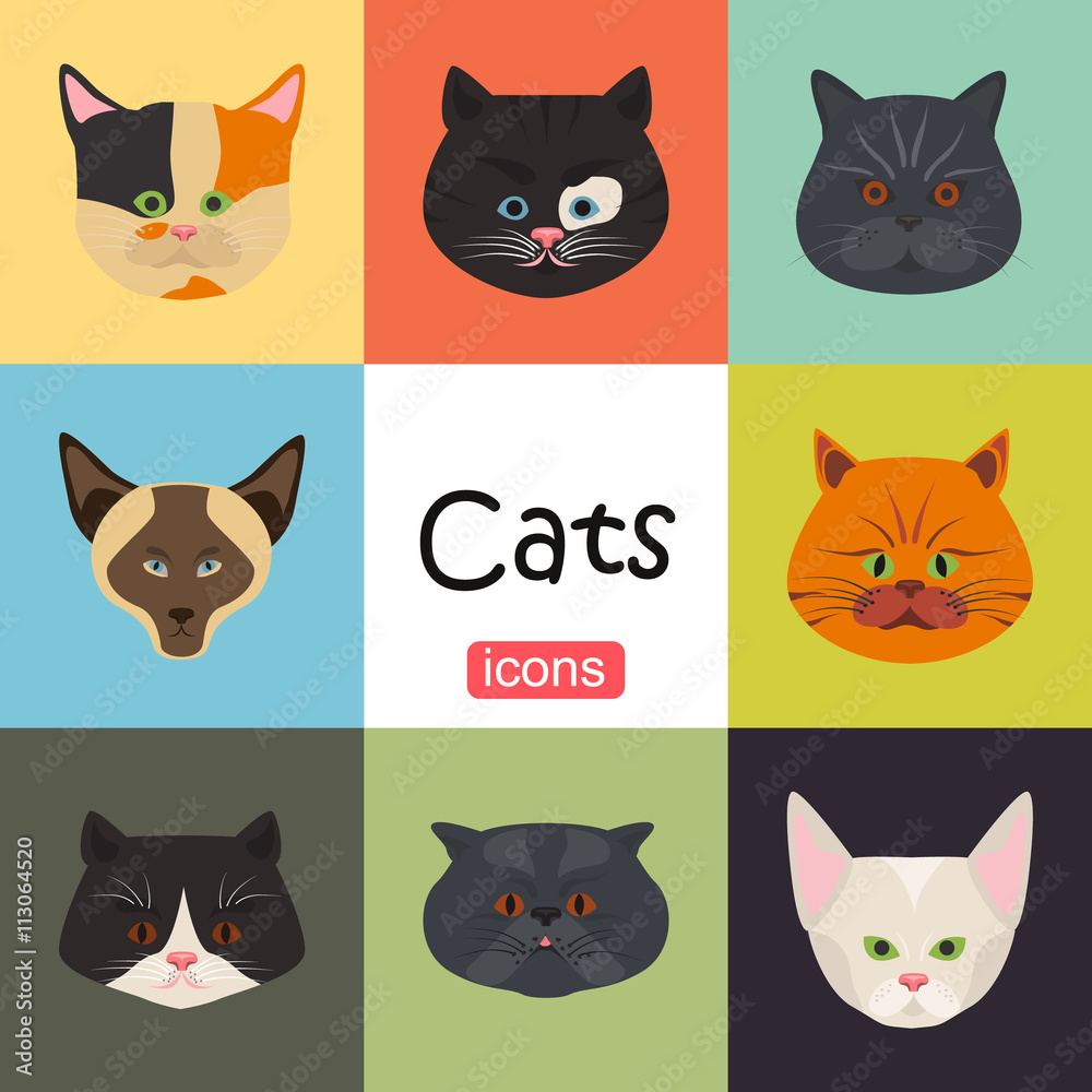 Cats color flat set icon