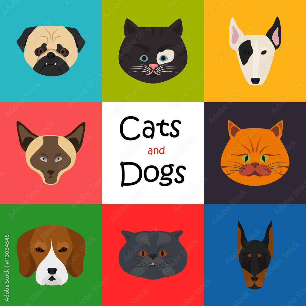 Cats and dogs color flat icon