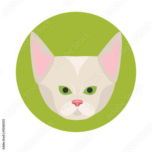 Cat muzzle color flat icon