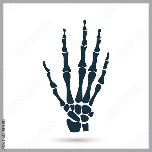 Hand sceleton icon on the background